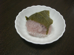 CIMG5076.jpg