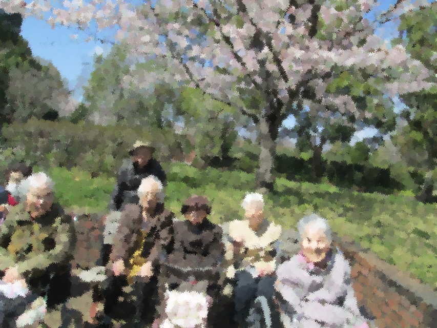 お花見①.jpg