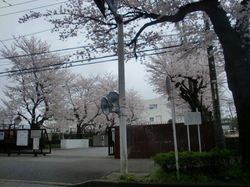 CIMG3857.JPG