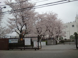 CIMG3858.JPG